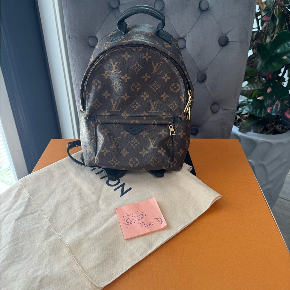 Louis Vuitton palm spring monogram pm